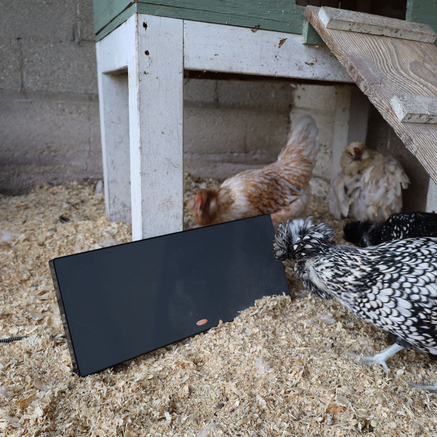 Cozy Chickens™ Chicken Coop Heating Panel - New & Improved!